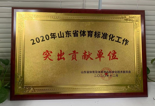 恭喜金年会体育荣获山东省体育及体育用品标准化技术委员会授予“突出贡献单位”荣誉称号
