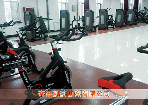 ​金年会体育为齐鲁制药呼和浩特分公司打造健身房